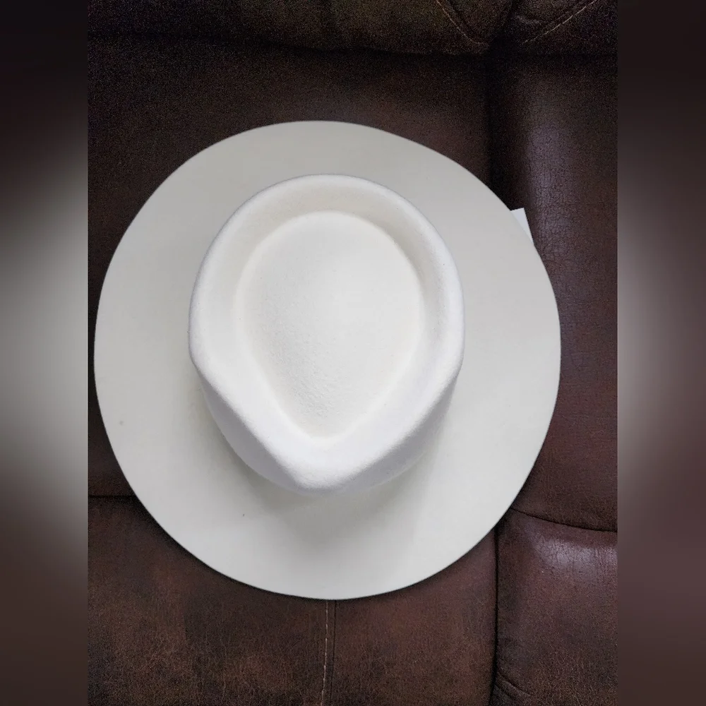 NWT Free People Lack Of Color Beverly Rancher Hat - Picture 3 of 4